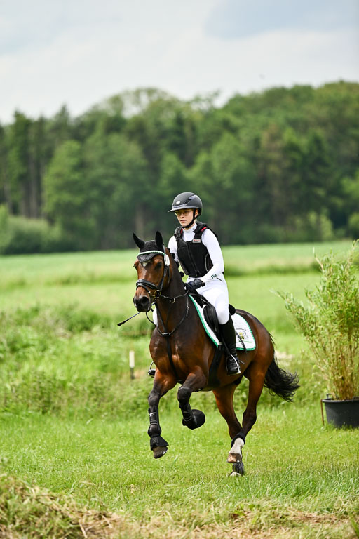 Goldene Schärpe Ponys in Löningen 2026 | 06062026 Gelände 2Abt_0242 