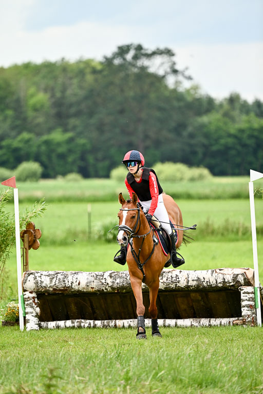 Goldene Schärpe Ponys in Löningen 2026 | 06062026 Gelände 2Abt_0253 