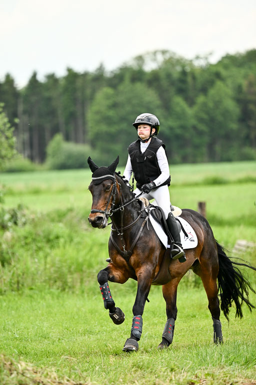 Goldene Schärpe Ponys in Löningen 2026 | 06062026 Gelände 2Abt_0282 