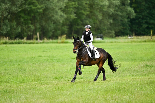 Goldene Schärpe Ponys in Löningen 2026 | 06062026 Gelände 2Abt_0285 