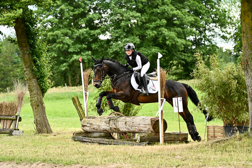 Goldene Schärpe Ponys in Löningen 2026 | 06062026 Gelände 2Abt_0294 