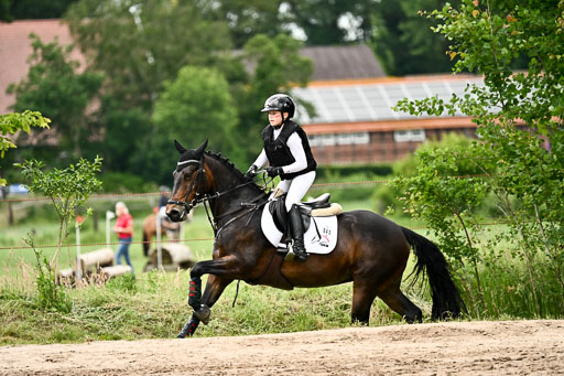 Goldene Schärpe Ponys in Löningen 2026 | 06062026 Gelände 2Abt_0298 