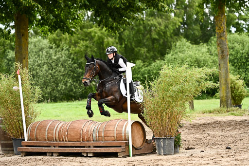 Goldene Schärpe Ponys in Löningen 2026 | 06062026 Gelände 2Abt_0299 