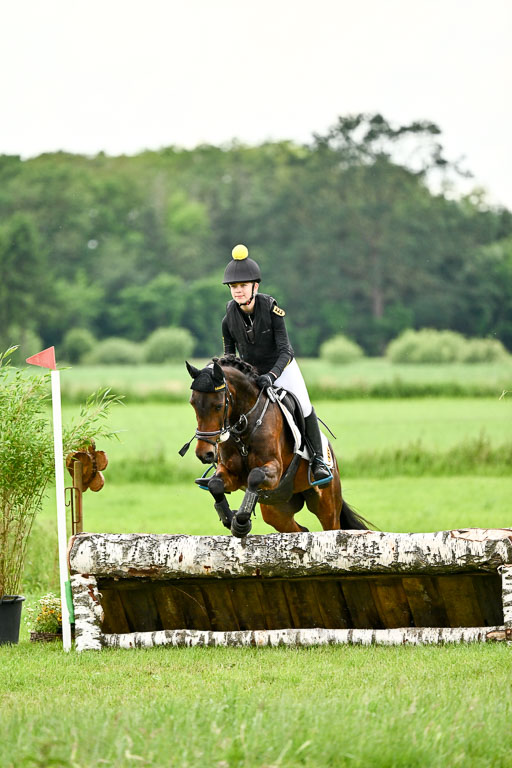 Goldene Schärpe Ponys in Löningen 2026 | 06062026 Gelände 2Abt_0339 