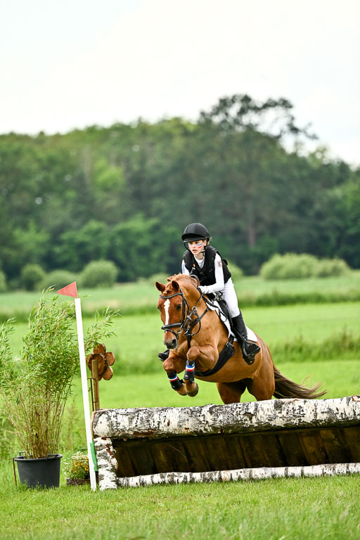 Goldene Schärpe Ponys in Löningen 2026 | 06062026 Gelände 2Abt_0362 