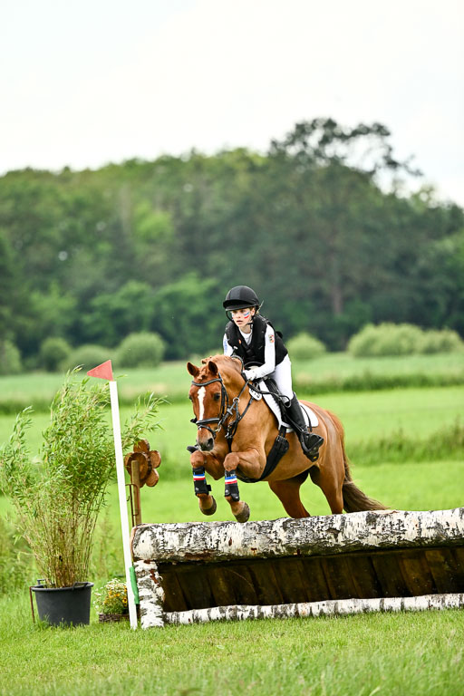 Goldene Schärpe Ponys in Löningen 2026 | 06062026 Gelände 2Abt_0363 