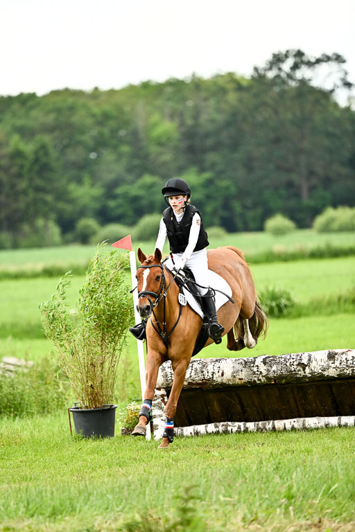 Goldene Schärpe Ponys in Löningen 2026 | 06062026 Gelände 2Abt_0364 