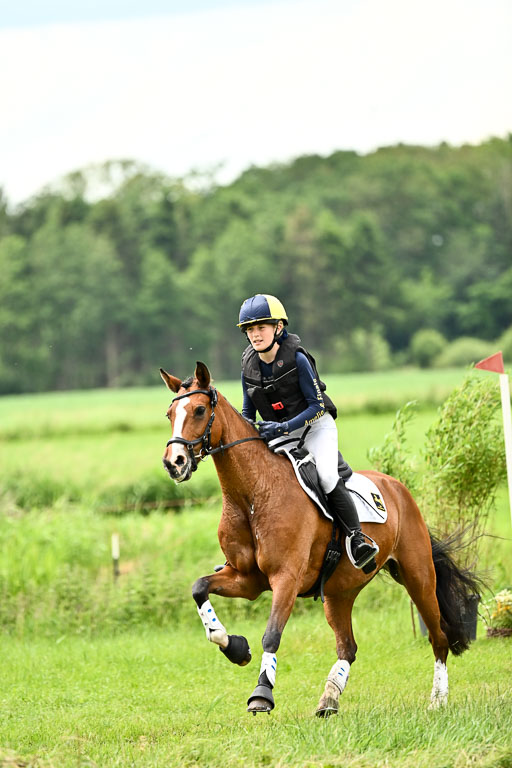 Goldene Schärpe Ponys in Löningen 2026 | 06062026 Gelände 2Abt_0399 