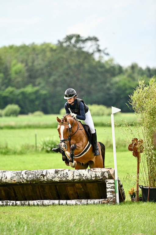Goldene Schärpe Ponys in Löningen 2026 | 06062026 Gelände 2Abt_0633 