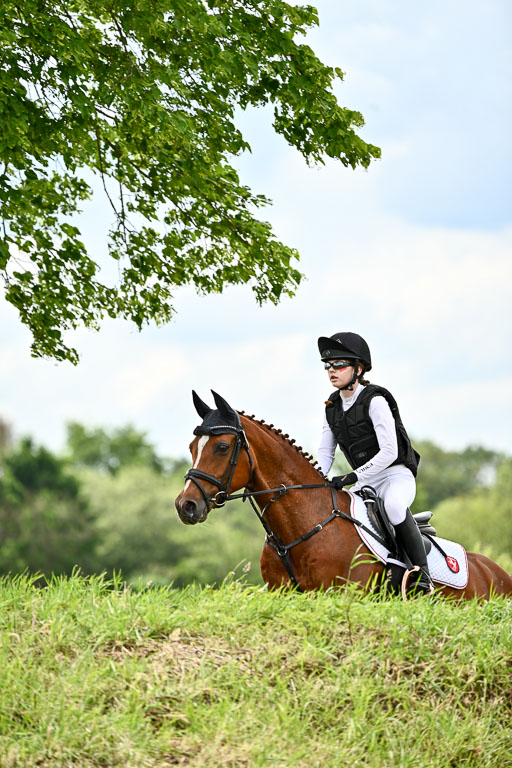 Goldene Schärpe Ponys in Löningen 2026 | 06062026 Gelände 2Abt_0643 
