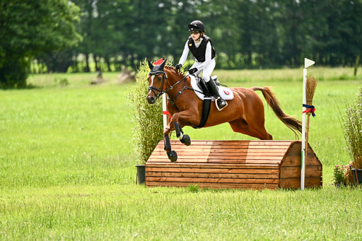 Goldene Schärpe Ponys in Löningen 2026 | 06062026 Gelände 2Abt_0649 