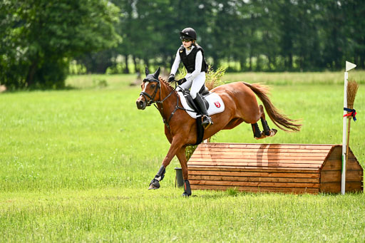 Goldene Schärpe Ponys in Löningen 2026 | 06062026 Gelände 2Abt_0651 