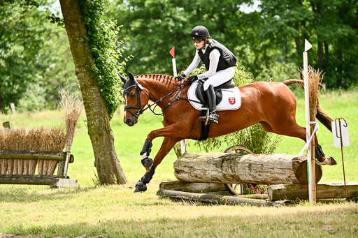 Goldene Schärpe Ponys in Löningen 2026 | 06062026 Gelände 2Abt_0655 