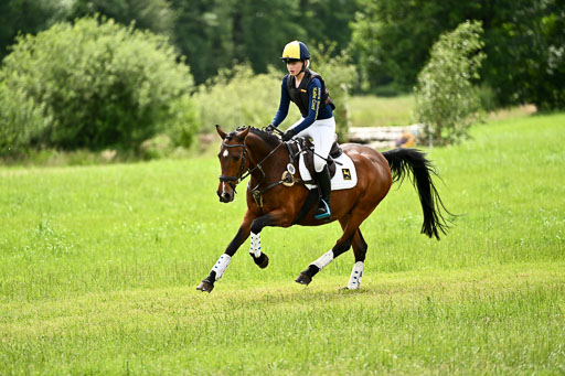 Goldene Schärpe Ponys in Löningen 2026 | 06062026 Gelände 2Abt_0675 