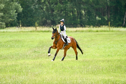 Goldene Schärpe Ponys in Löningen 2026 | 06062026 Gelände 2Abt_0695 