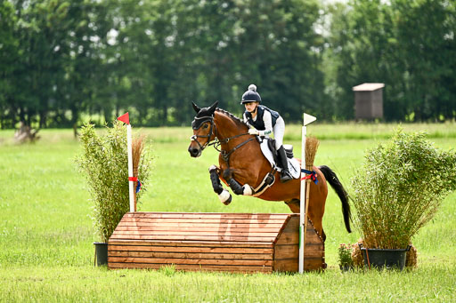 Goldene Schärpe Ponys in Löningen 2026 | 06062026 Gelände 2Abt_0697 