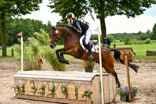 Goldene Schärpe Ponys in Löningen 2026 | 06062026 Gelände 2Abt_1002 