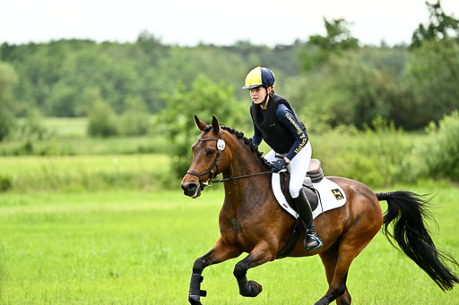 Goldene Schärpe Ponys in Löningen 2026 | 06062026 Gelände 2Abt_1011 