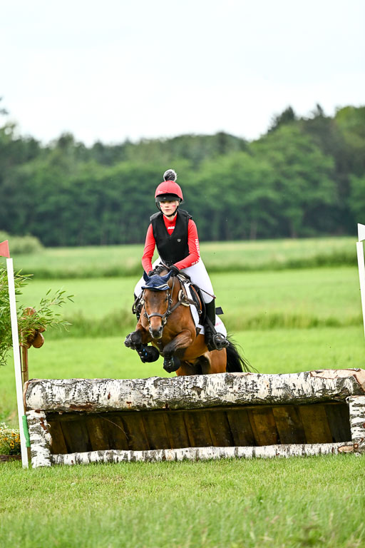 Goldene Schärpe Ponys in Löningen 2026 | 06062026 Gelände 2Abt_1082 