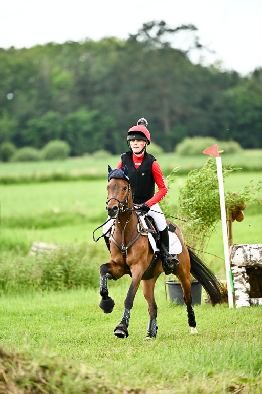Goldene Schärpe Ponys in Löningen 2026 | 06062026 Gelände 2Abt_1085 