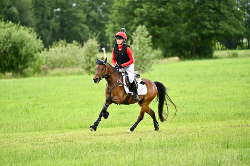 Goldene Schärpe Ponys in Löningen 2026 | 06062026 Gelände 2Abt_1096 