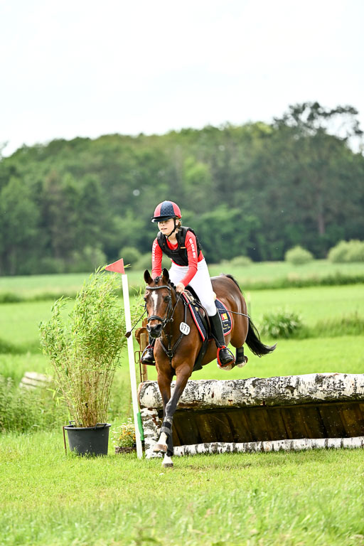 Goldene Schärpe Ponys in Löningen 2026 | 06062026 Gelände 2Abt_1110 