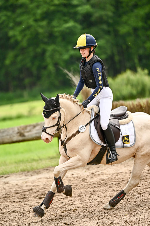Goldene Schärpe Ponys in Löningen 2026 | 06062026 Gelände 2Abt_1131 