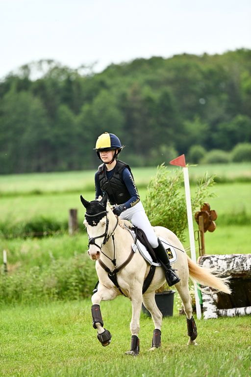 Goldene Schärpe Ponys in Löningen 2026 | 06062026 Gelände 2Abt_1138 