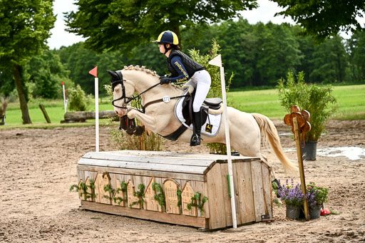 Goldene Schärpe Ponys in Löningen 2026 | 06062026 Gelände 2Abt_1141 