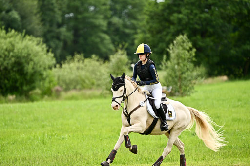 Goldene Schärpe Ponys in Löningen 2026 | 06062026 Gelände 2Abt_1148 