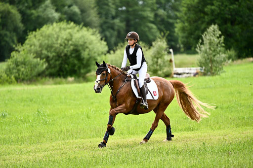Goldene Schärpe Ponys in Löningen 2026 | 06062026 Gelände 2Abt_1173 