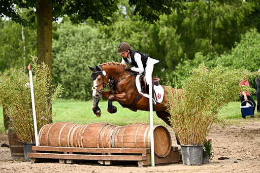 Goldene Schärpe Ponys in Löningen 2026 | 06062026 Gelände 2Abt_1182 