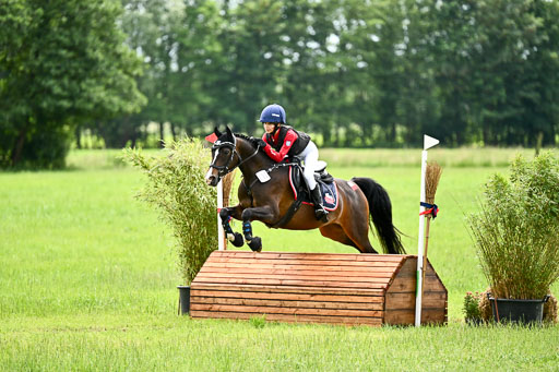 Goldene Schärpe Ponys in Löningen 2026 | 06062026 Gelände 2Abt_1199 