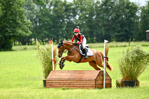 Goldene Schärpe Ponys in Löningen 2026 | 06062026 Gelände 2Abt_1229 