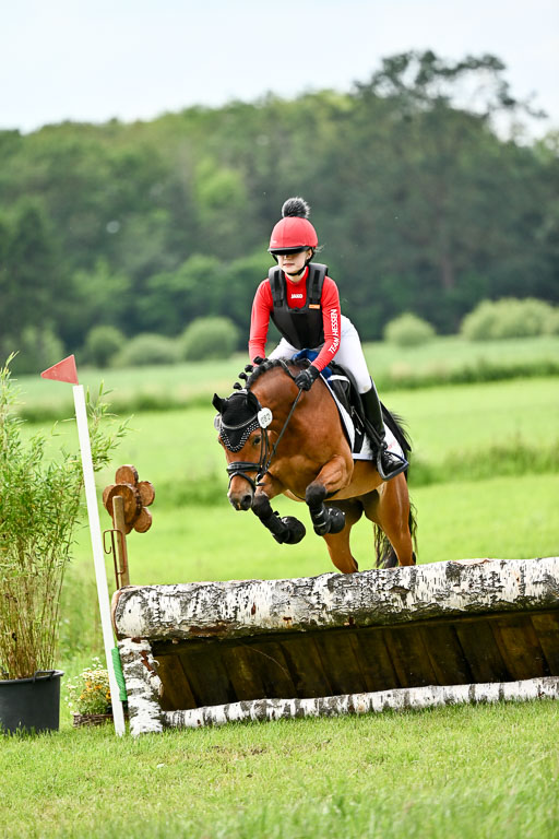 Goldene Schärpe Ponys in Löningen 2026 | 06062026 Gelände 2Abt_1249 