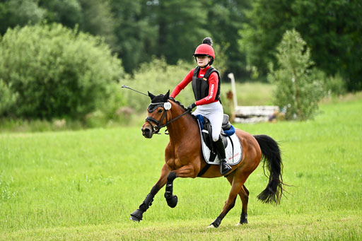 Goldene Schärpe Ponys in Löningen 2026 | 06062026 Gelände 2Abt_1258 