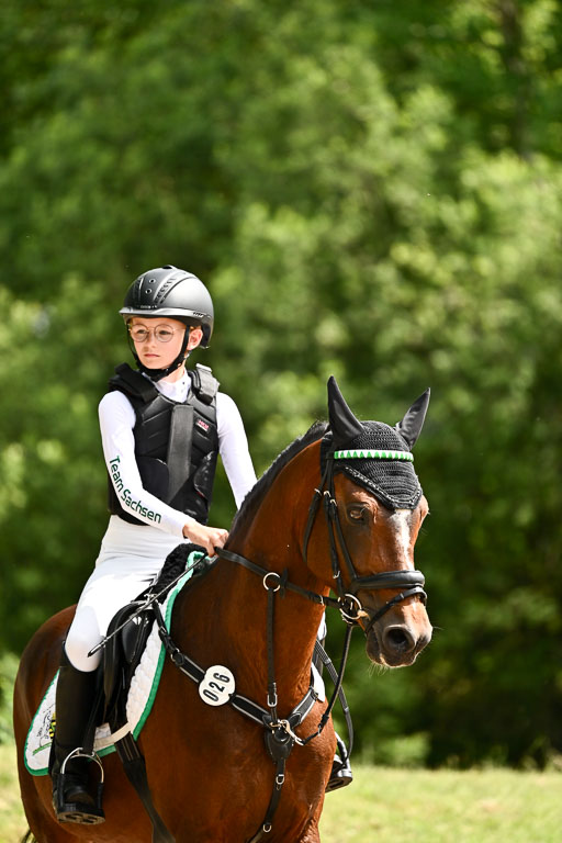 Goldene Schärpe Ponys in Löningen 2026 | 06062026 Gelände 2Abt_1268 