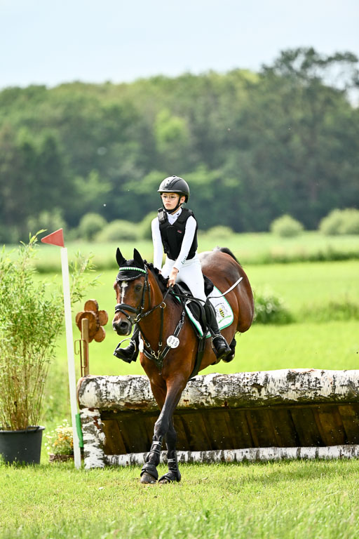 Goldene Schärpe Ponys in Löningen 2026 | 06062026 Gelände 2Abt_1279 