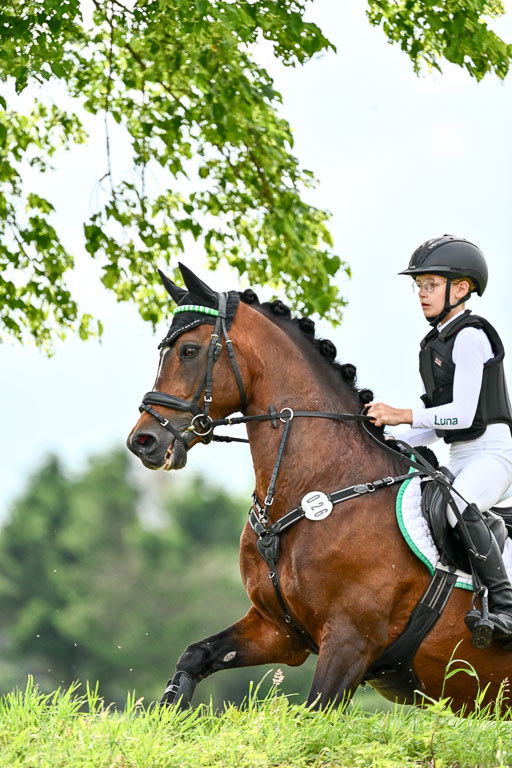 Goldene Schärpe Ponys in Löningen 2026 | 06062026 Gelände 2Abt_1281 