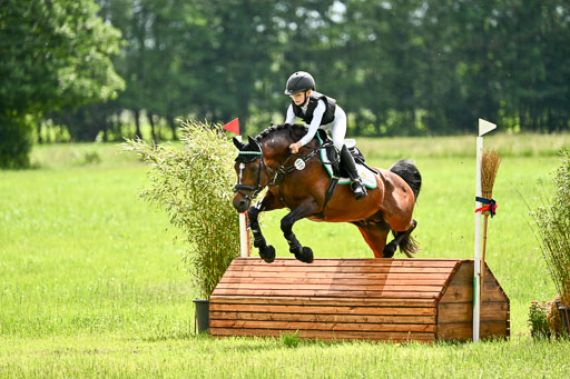 Goldene Schärpe Ponys in Löningen 2026 | 06062026 Gelände 2Abt_1285 