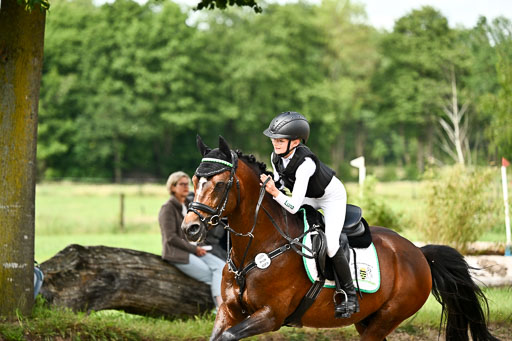 Goldene Schärpe Ponys in Löningen 2026 | 06062026 Gelände 2Abt_1299 