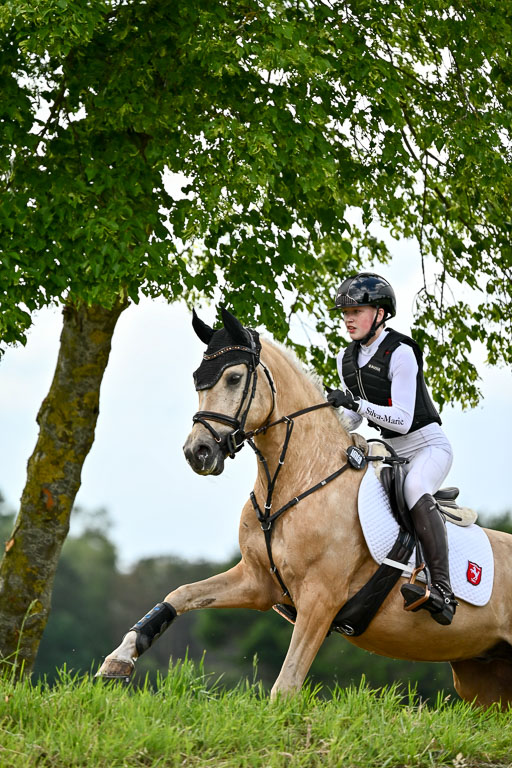 Goldene Schärpe Ponys in Löningen 2026 | 06062026 Gelände 2Abt_1303 
