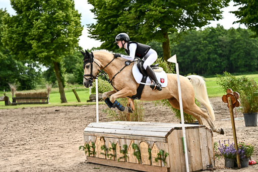 Goldene Schärpe Ponys in Löningen 2026 | 06062026 Gelände 2Abt_1305 