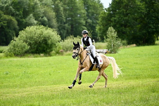 Goldene Schärpe Ponys in Löningen 2026 | 06062026 Gelände 2Abt_1311 