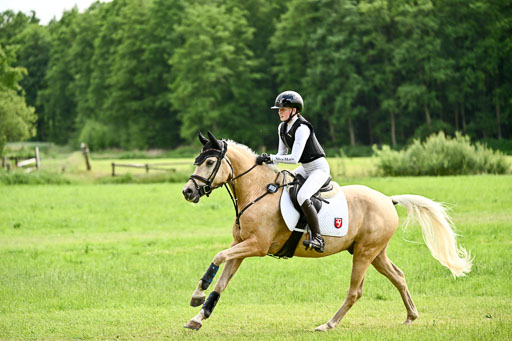 Goldene Schärpe Ponys in Löningen 2026 | 06062026 Gelände 2Abt_1312 