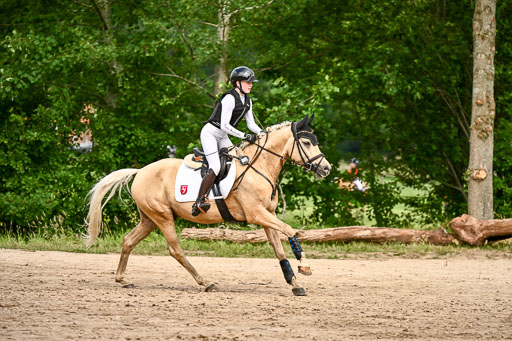Goldene Schärpe Ponys in Löningen 2026 | 06062026 Gelände 2Abt_1321 