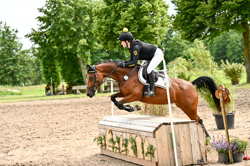 Goldene Schärpe Ponys in Löningen 2026 | 06062026 Gelände 2Abt_1331 
