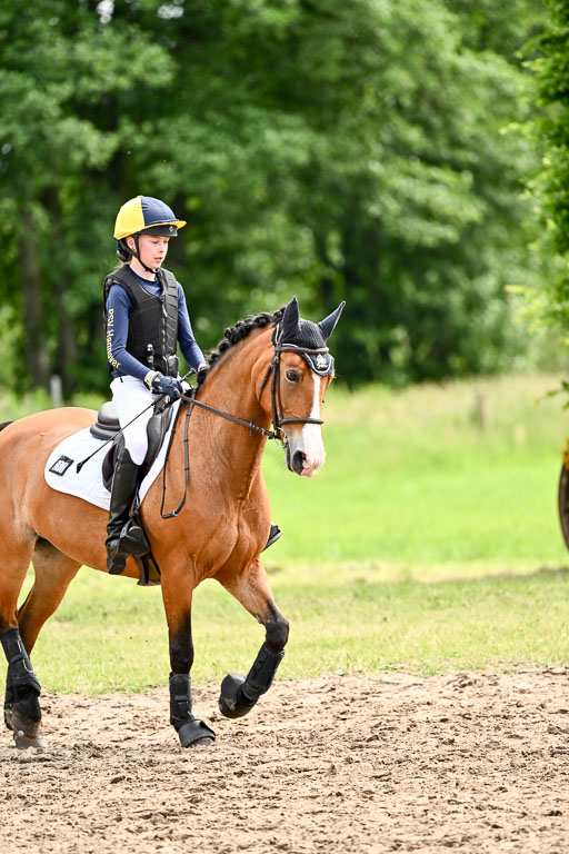 Goldene Schärpe Ponys in Löningen 2026 | 06062026 Gelände 2Abt_1343 
