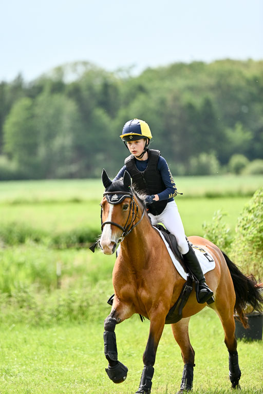 Goldene Schärpe Ponys in Löningen 2026 | 06062026 Gelände 2Abt_1357 