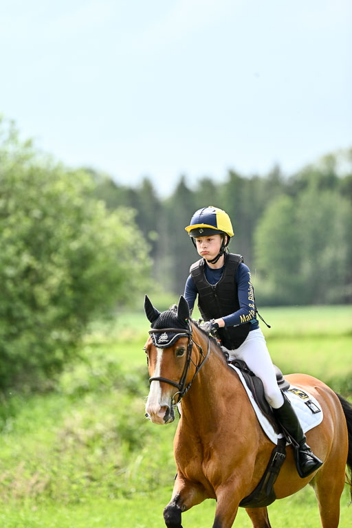 Goldene Schärpe Ponys in Löningen 2026 | 06062026 Gelände 2Abt_1358 